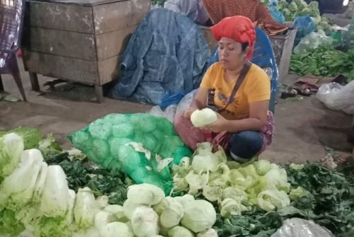 HARGA CABE NAIK TERUS TAPI CERMATI DI UJUNG PAGI — Boga, Jipang Kecil, Seledri, Prei, Selada dan Botol NAIK | Jipang Besar dan Lotus TURUN