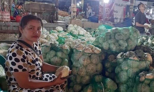 HARGA SELADA TERUS MELAMBUNG — Tomat, Cabe Merah, Kol TURUN | Buncis NAIK