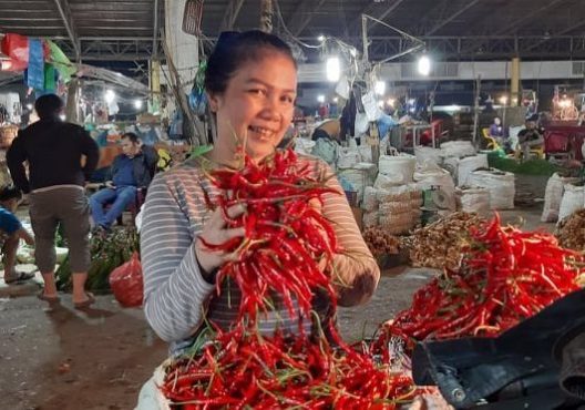 HARGA CABE LANJUT NAIK — Bawang Merah Menggeliat | Tomat Tetap Mahal