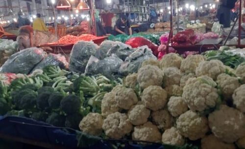 CABE, TOMAT, BAWANG DAN KOL STABIL — Putih, Pait, Lotus Terhempas | Selada Naik Tajam |