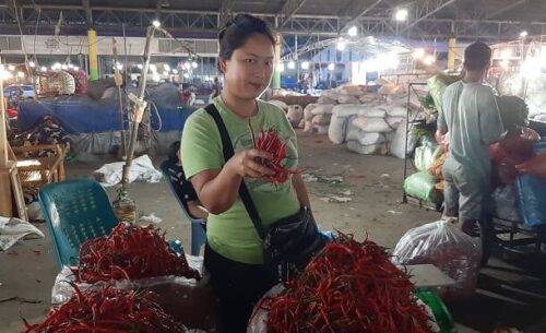HARGA CABE DINIHARI — Sabtu 1 Oktober 2022